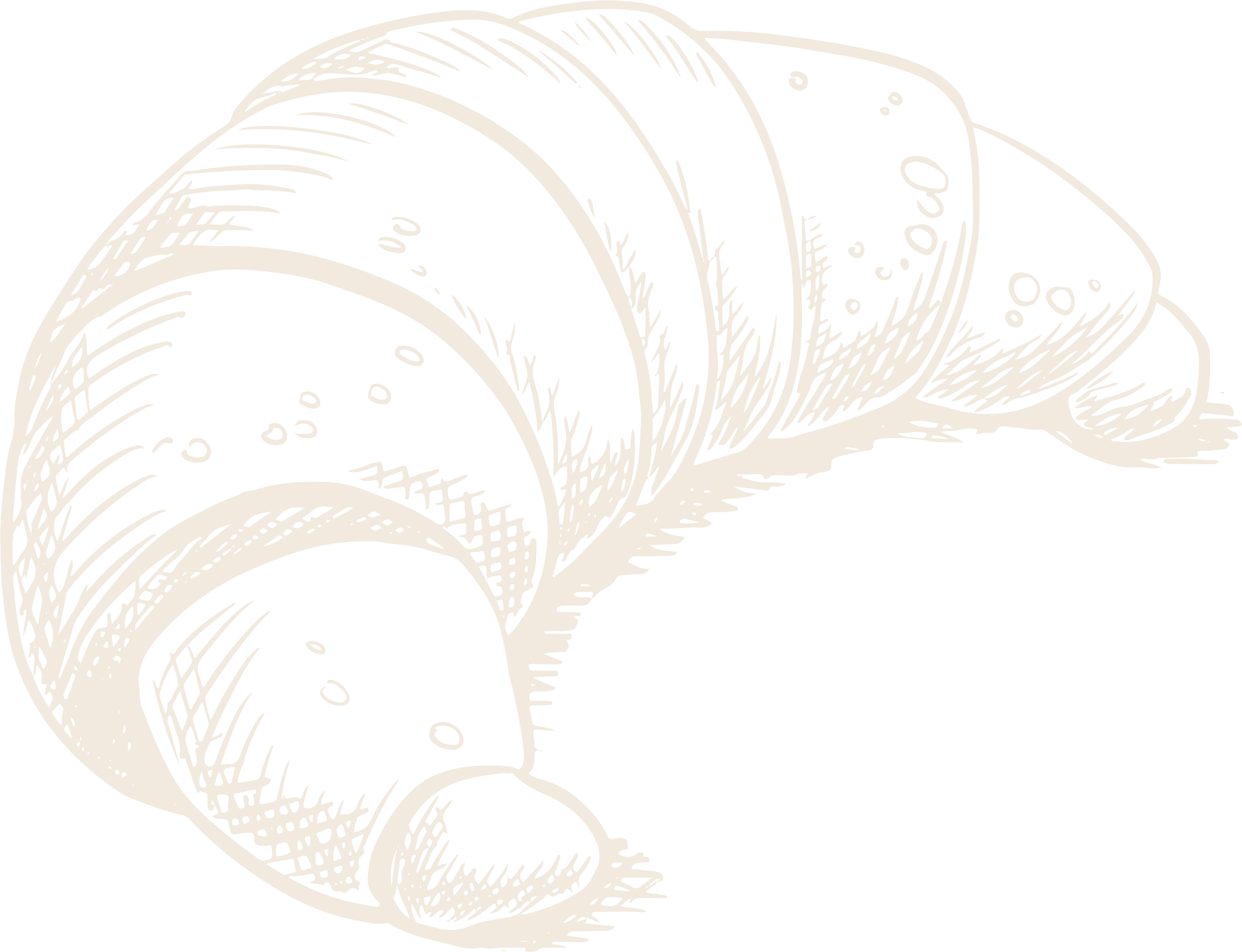 l-epicurien-plerin-brezillet-boulangerie-viennoiseries