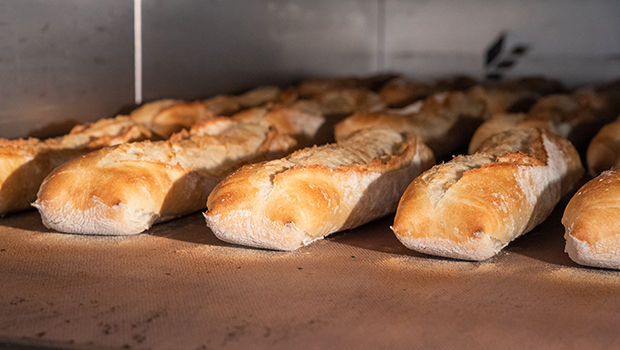 l-epicurien-plerin-brezillet-boulangerie-cuisson